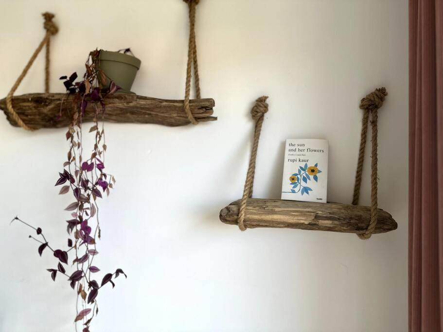 Appartement Cosy Calao - Parking Ferme Gratuit Perpignan Bagian luar foto