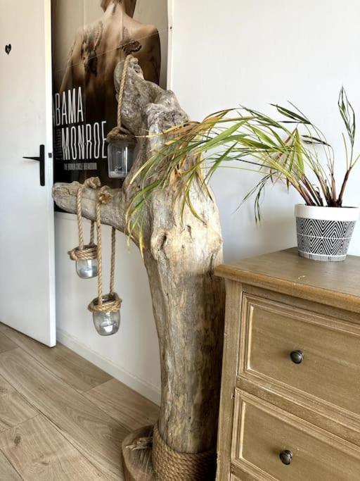 Appartement Cosy Calao - Parking Ferme Gratuit Perpignan Bagian luar foto