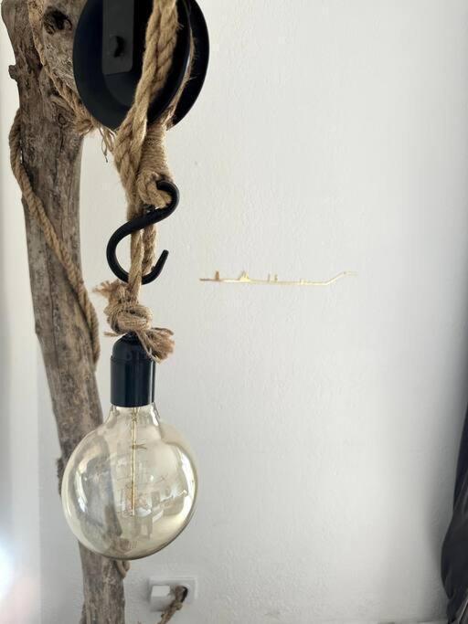 Appartement Cosy Calao - Parking Ferme Gratuit Perpignan Bagian luar foto