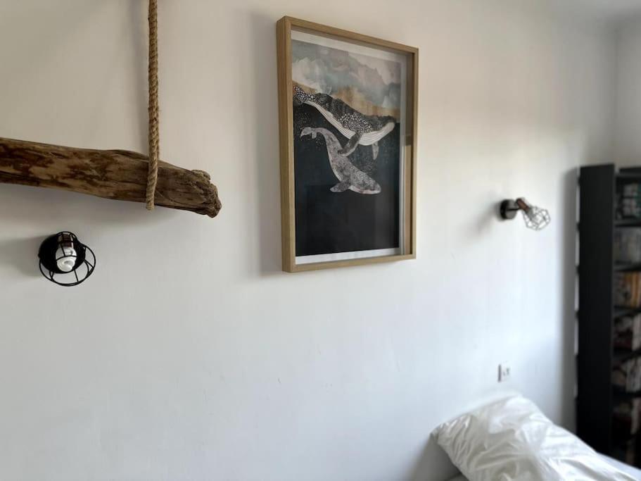 Appartement Cosy Calao - Parking Ferme Gratuit Perpignan Bagian luar foto