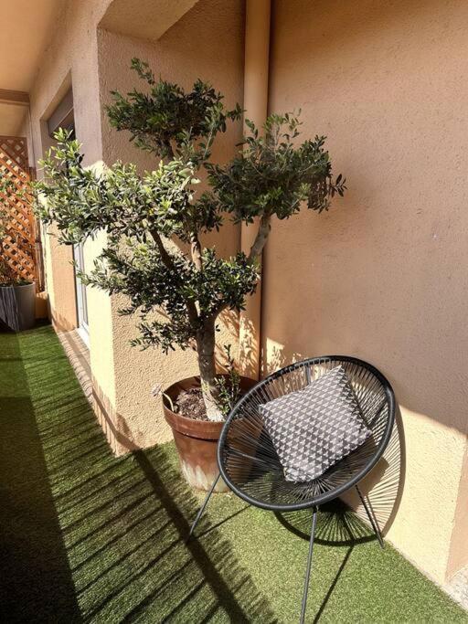 Appartement Cosy Calao - Parking Ferme Gratuit Perpignan Bagian luar foto